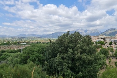 STADTGRUNDSTÜCK CAMPANET ,Campanet