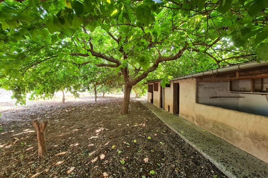 TOWNHOUSE SOLLER