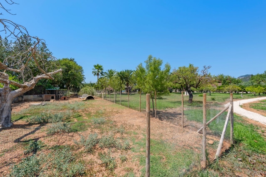 FINCA BINISSALEM